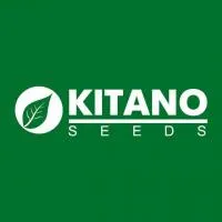 KITANO SEEDS logo