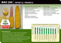 Семена кукурузы Пионер ПР39Г12 / PR39G12