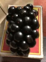 Саженцы бесшипной крупноплодной ежевики Натчез