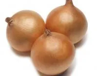 Лук Яровой РЕКС F1 (250 000 семян) Takii Seeds