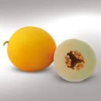 Дыня KS 7066 F1 (1000 семена) Kitano Seeds