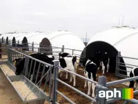 Групповые домики для телят